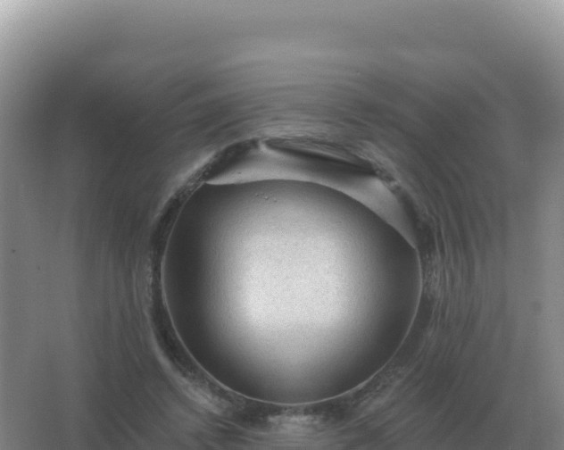 X0000067510448200604150137