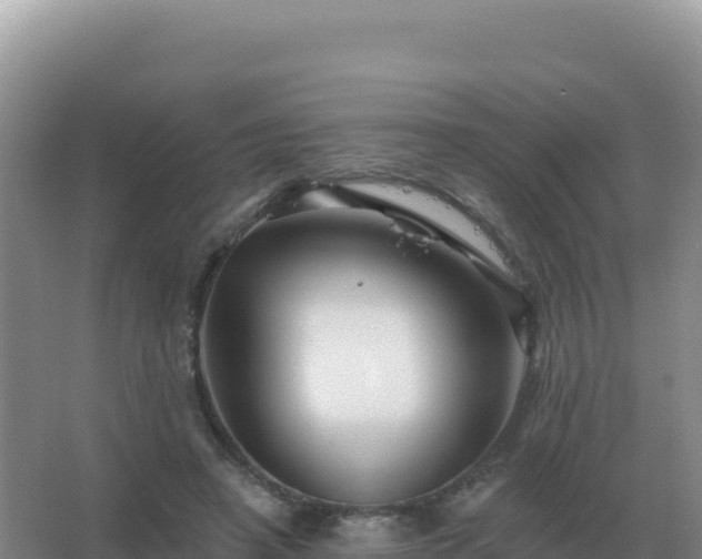 X0000067510450200604150137