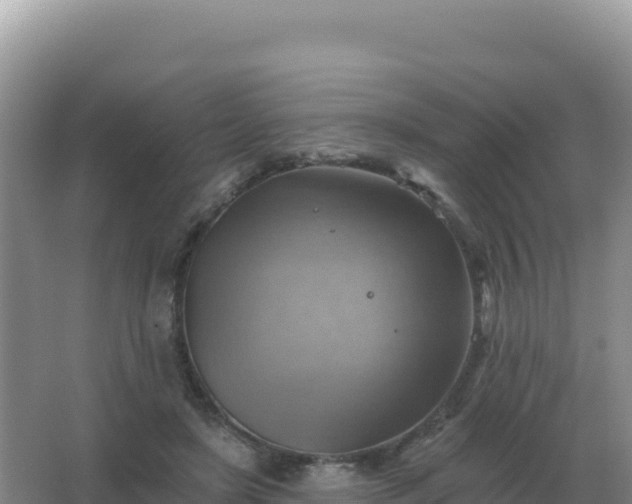 X0000067510451200604150137