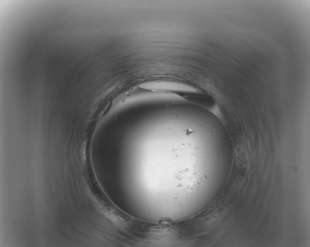 X0000067510454200604150138