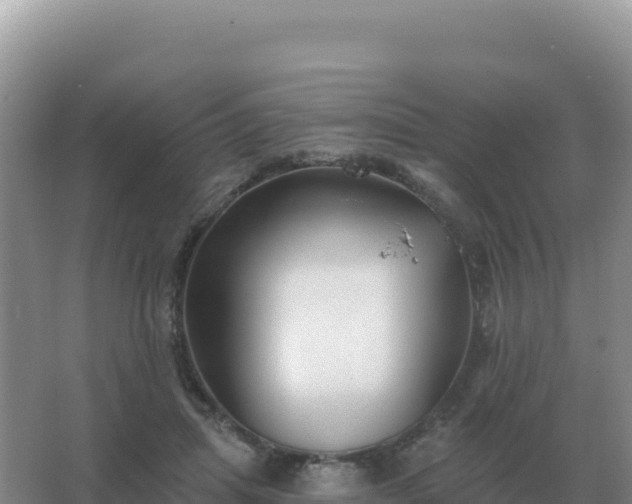 X0000067510455200604150138