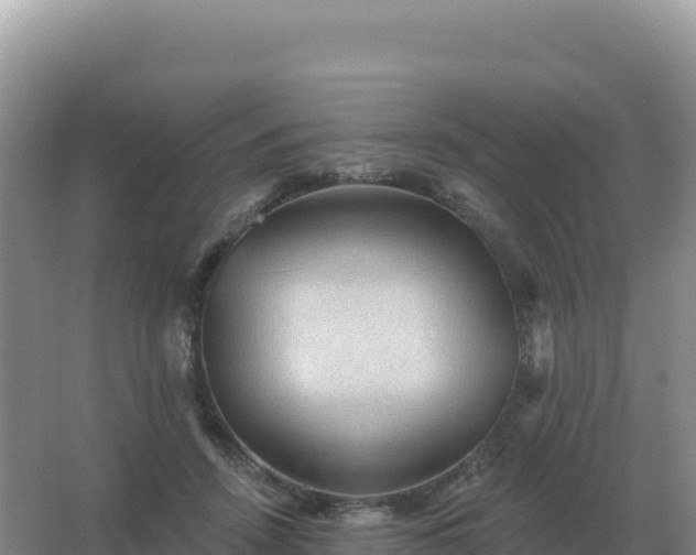 X0000067510456200604150138