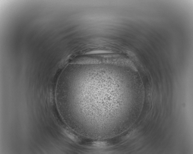 X0000067510457200604150138