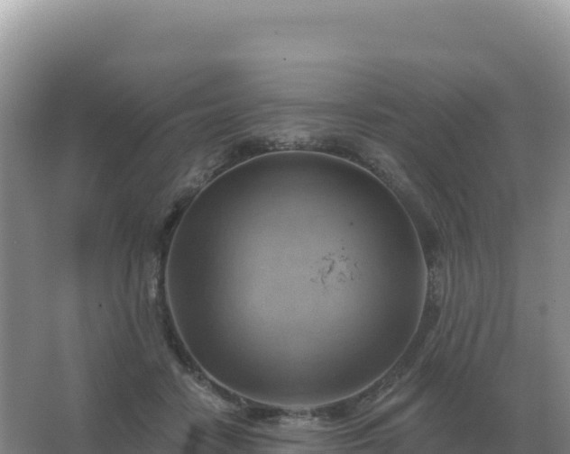 X0000067510458200604150138