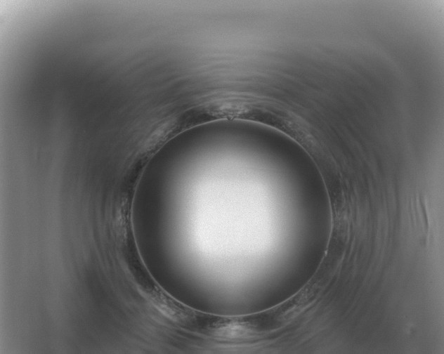 X0000067510460200604150138