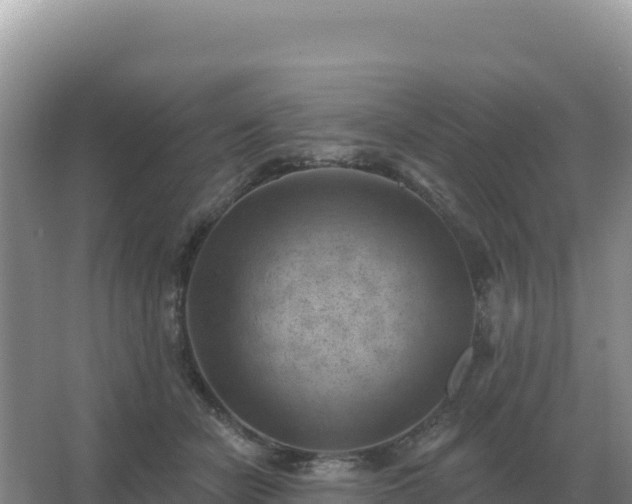 X0000067510462200604150138