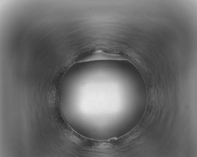 X0000067510463200604150138