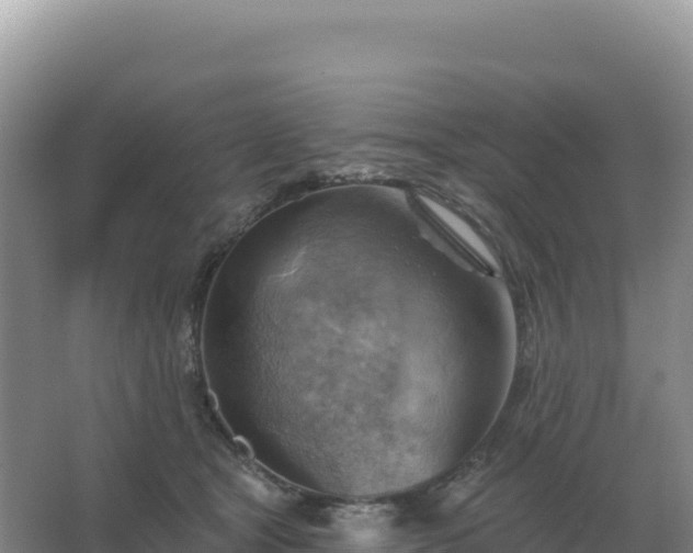 X0000067510465200604150138