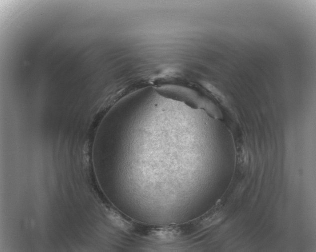 X0000067510466200604150138