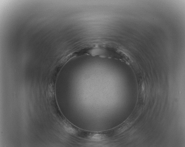 X0000067510467200604150138