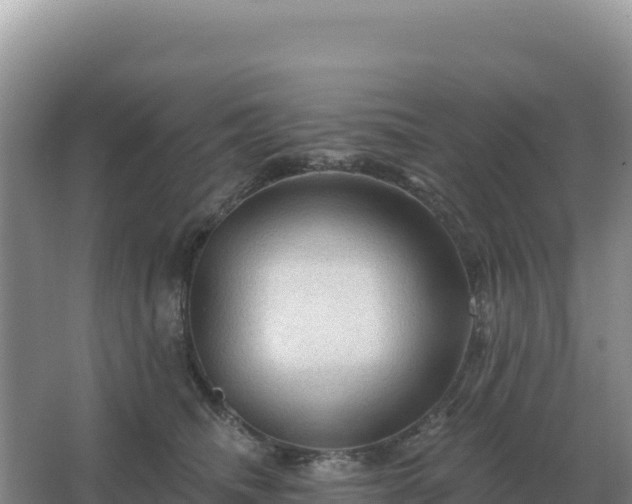 X0000067510468200604150138