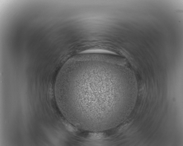 X0000067510469200604150138