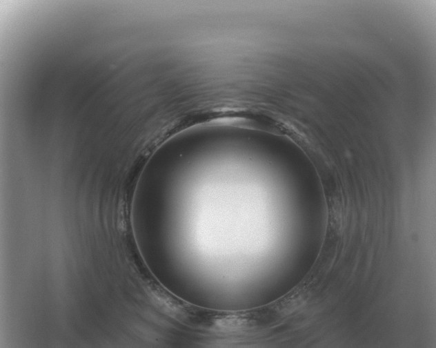 X0000067510470200604150138