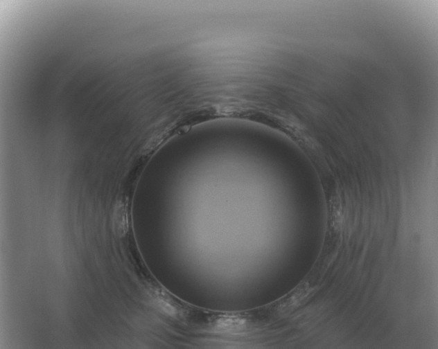 X0000067510471200604150138