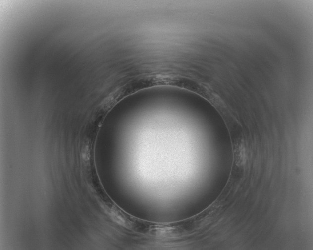 X0000067510472200604150138