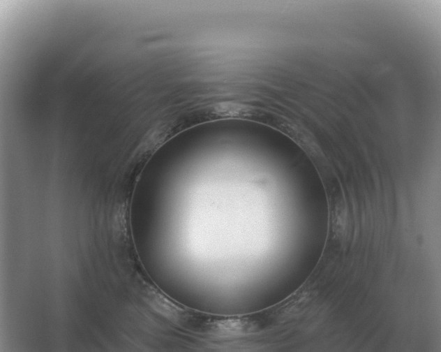 X0000067510473200604150138