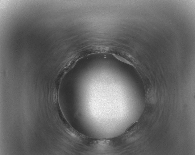 X0000067510474200604150138