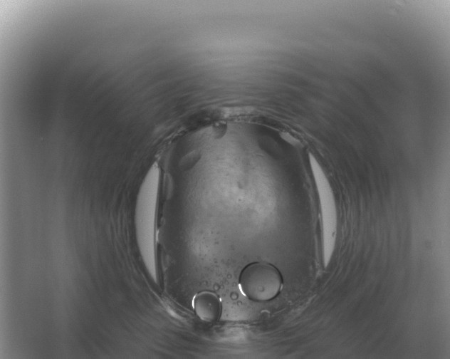 X0000067510475200604150138