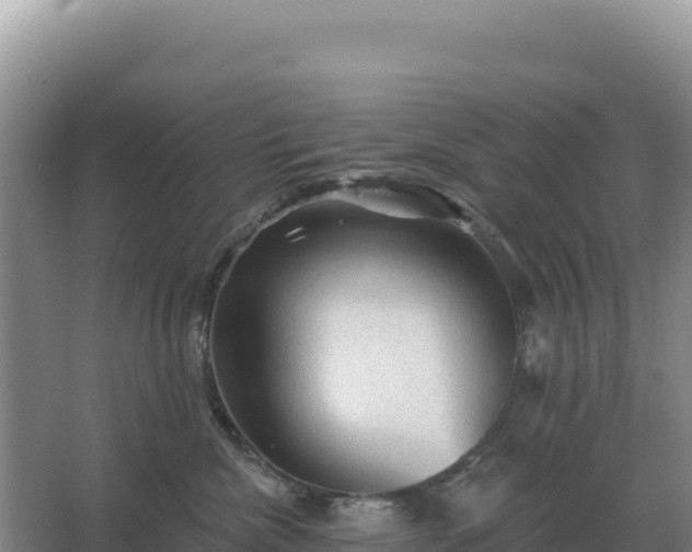 X0000067510476200604150138