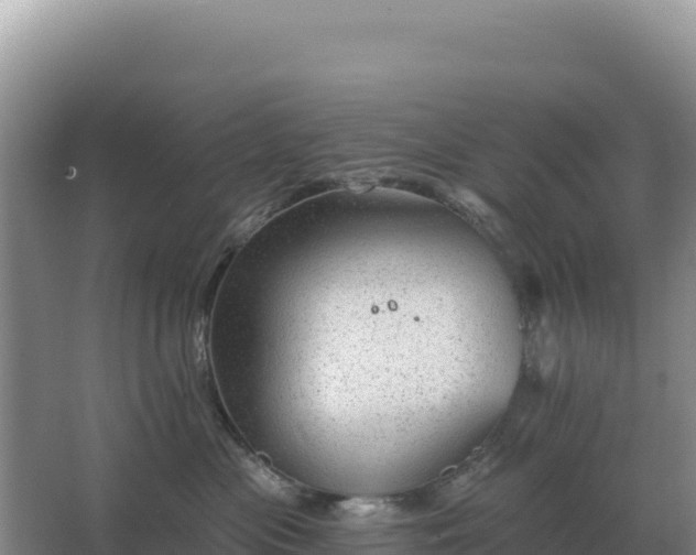 X0000067510477200604150138