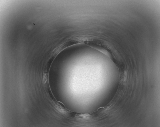 X0000067510478200604150138