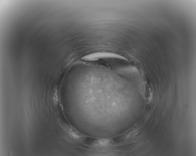 X0000067510479200604150138