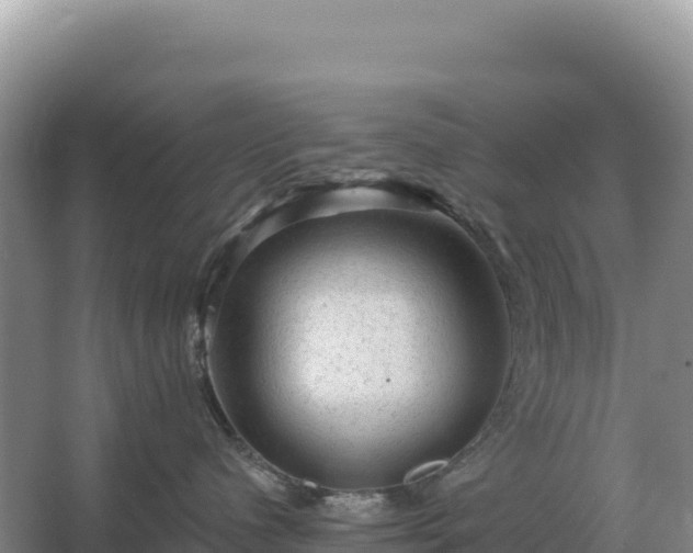 X0000067510480200604150138