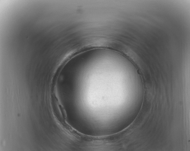 X0000067510482200604150137