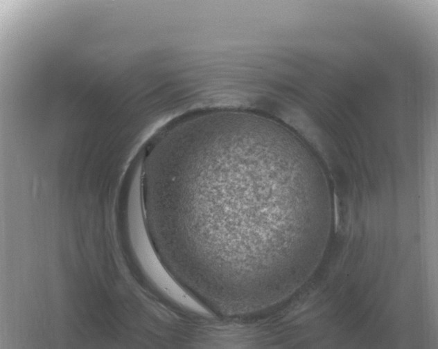 X0000067510483200604150137