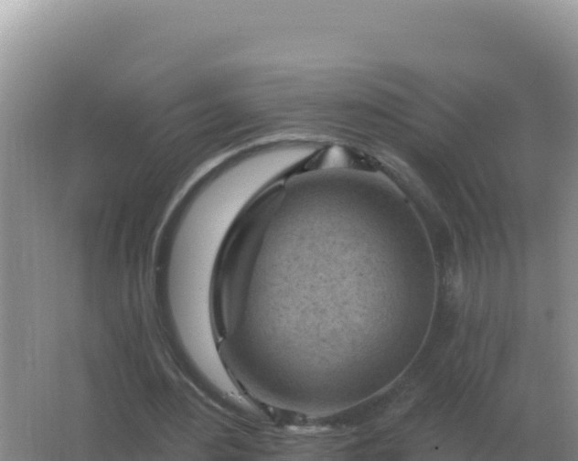 X0000067510484200604150137