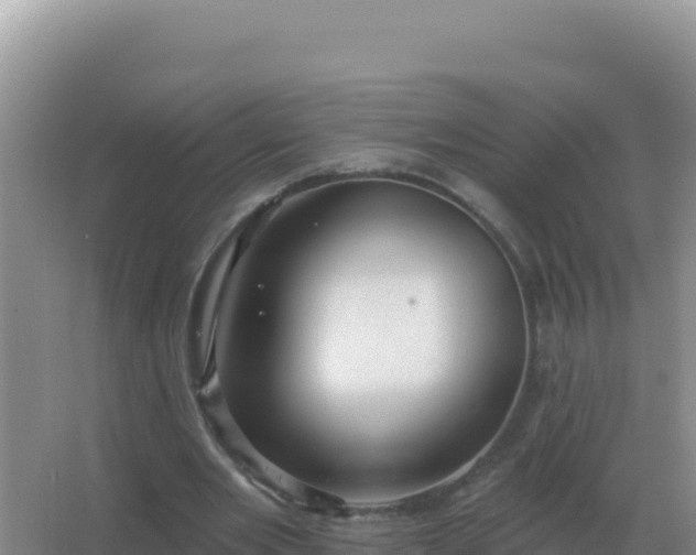 X0000067510485200604150137