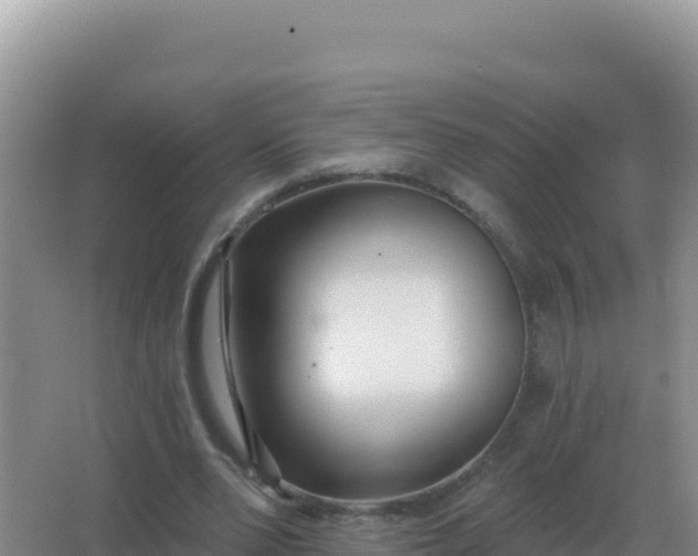 X0000067510486200604150137