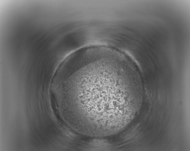 X0000067510487200604150137