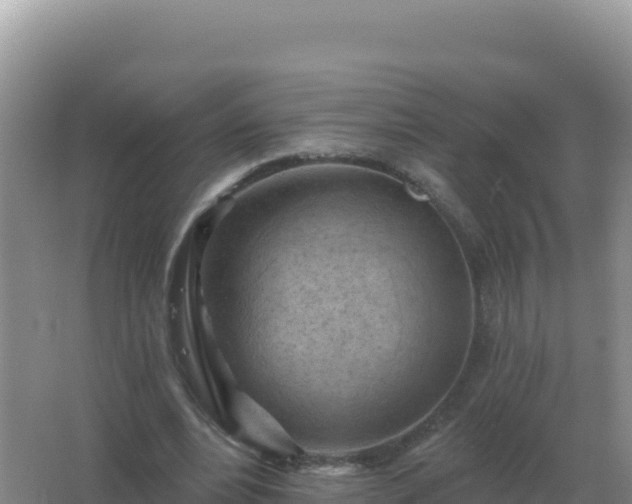 X0000067510488200604150137