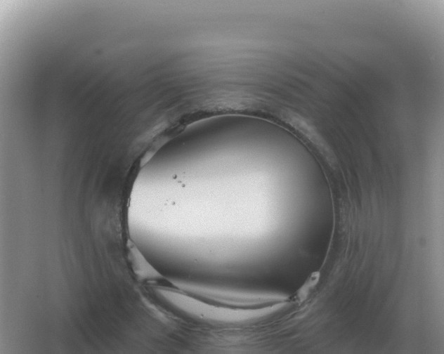 X0000067510489200604150137