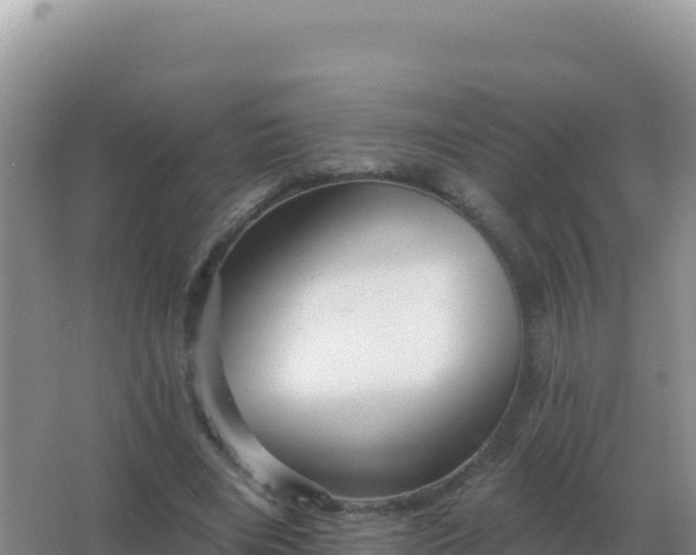 X0000067510490200604150137