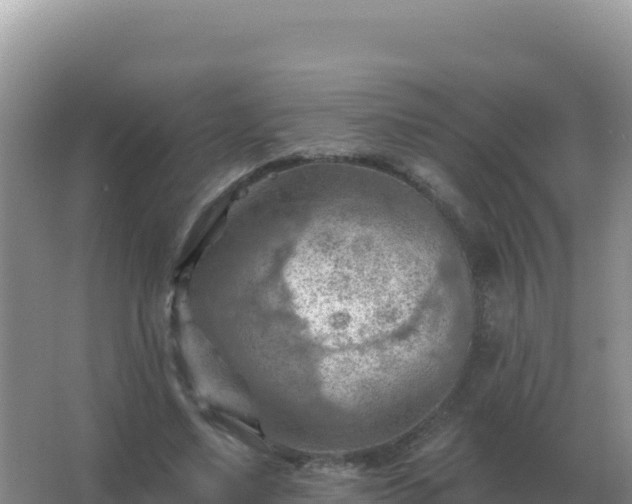 X0000067510491200604150137