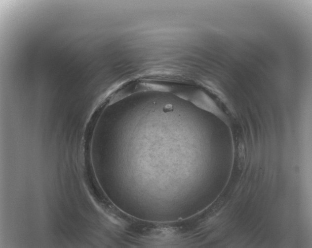 X0000067510492200604150137