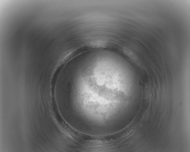 X0000067510494200604150137