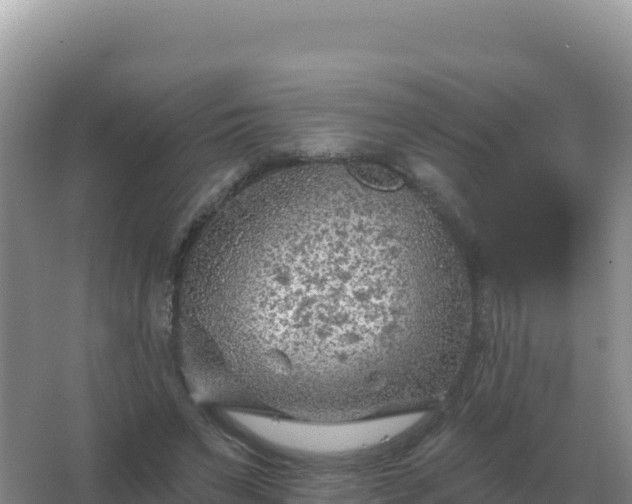 X0000067510495200604150137