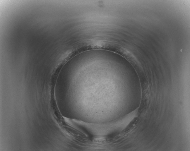 X0000067510496200604150137