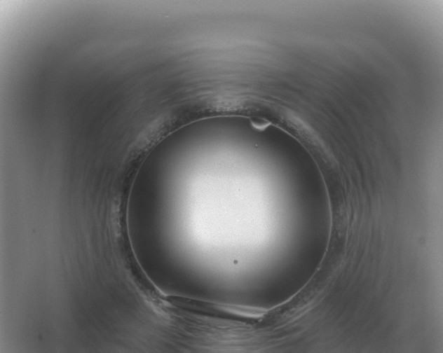 X0000067510497200604150137