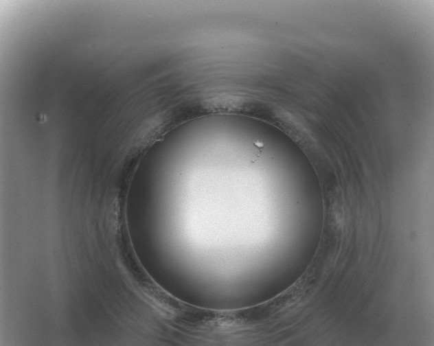 X0000067510498200604150137