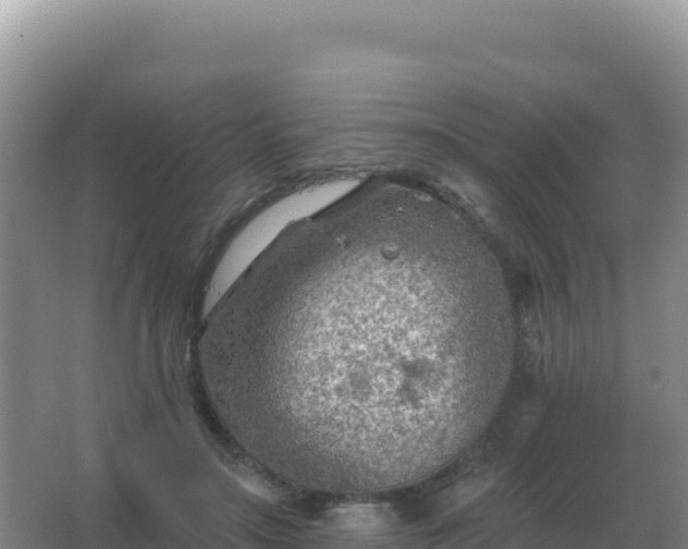 X0000067510499200604150137