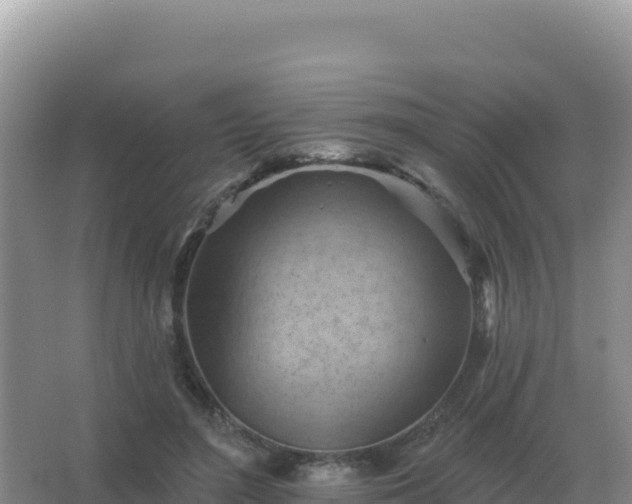 X0000067510500200604150137