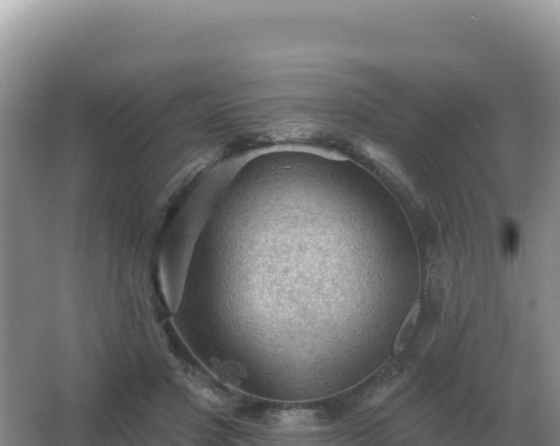 X0000067510501200604150137