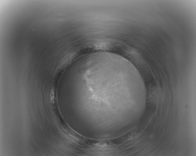 X0000067510502200604150137