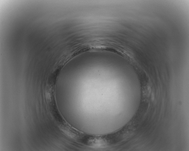 X0000067510503200604150137