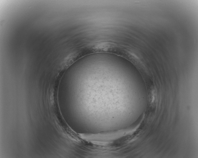 X0000067510504200604150137