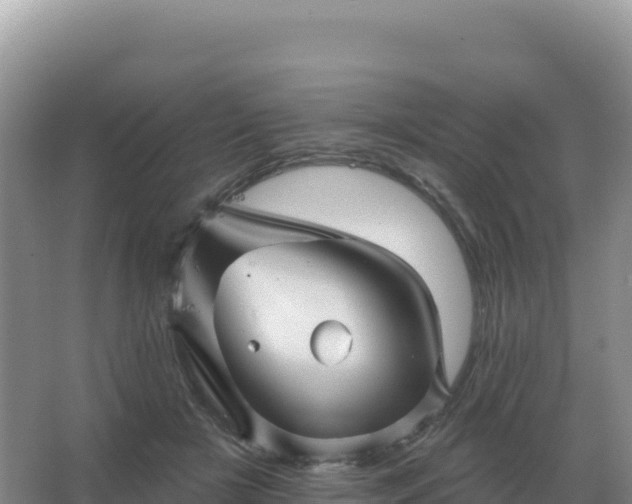 X0000067510505200604150137